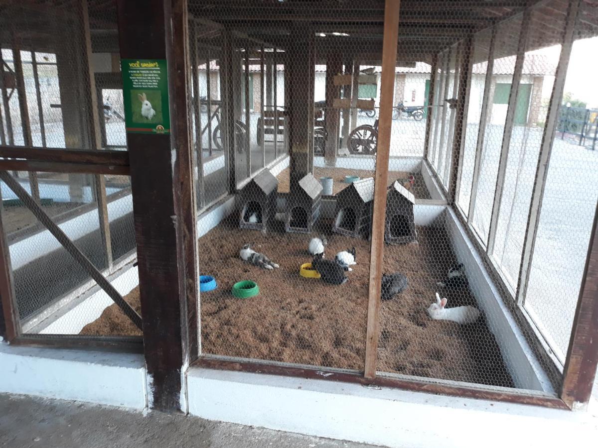 Flat Monte Castelo Gravata Modulo 17 Aparthotel Ngoại thất bức ảnh
